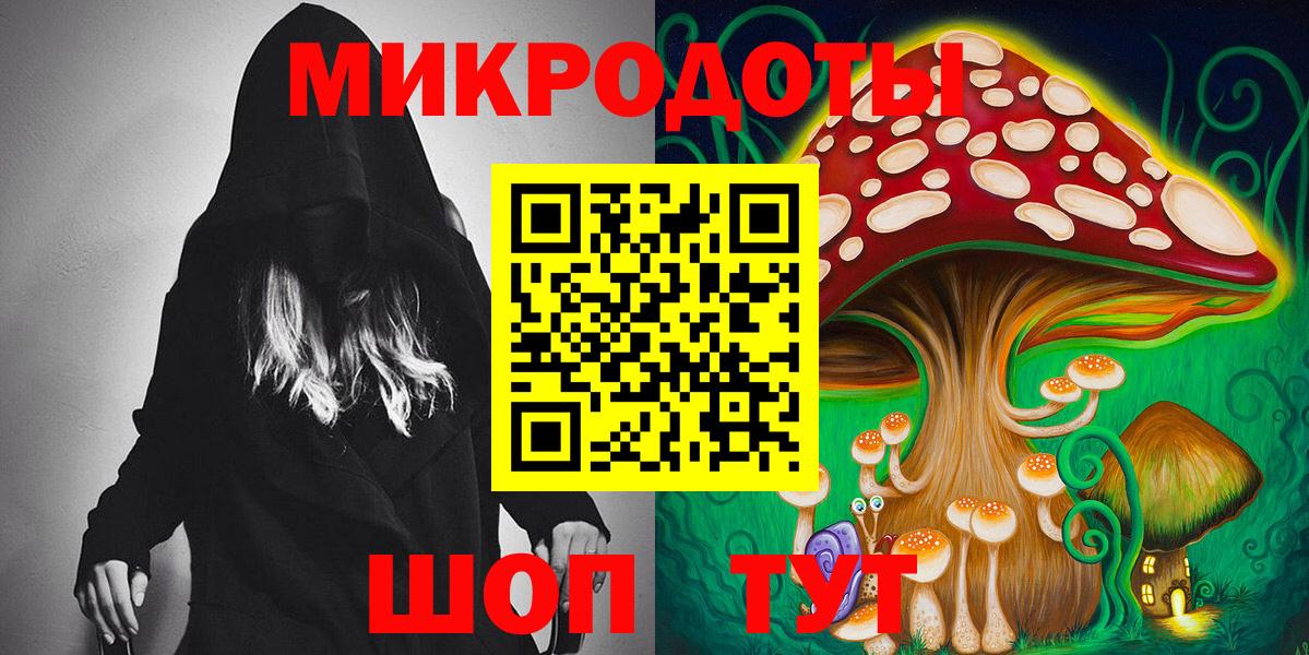 Кириши  Псилоцибиновые грибы Psilocybe  Вход с VPN 
